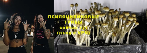 mdma Вязьма