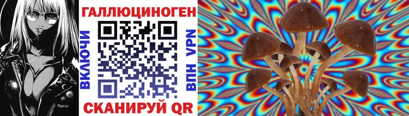 где найти наркотики Северодвинск Галлюциногенные грибы прущие грибы